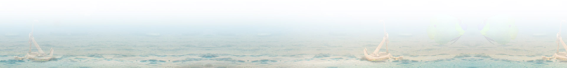 baner